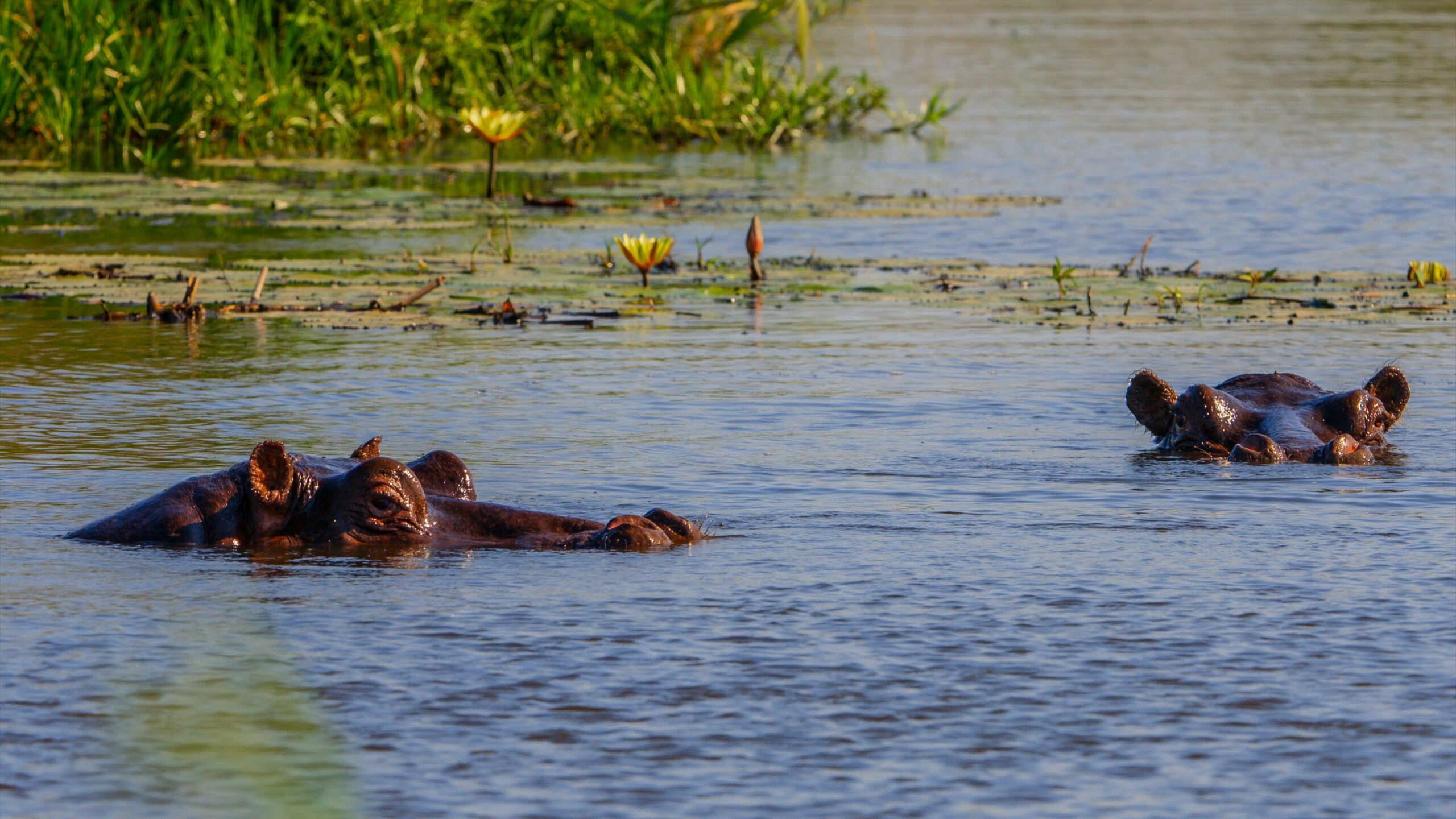 Alojamiento donde dormir en Maun Botswana