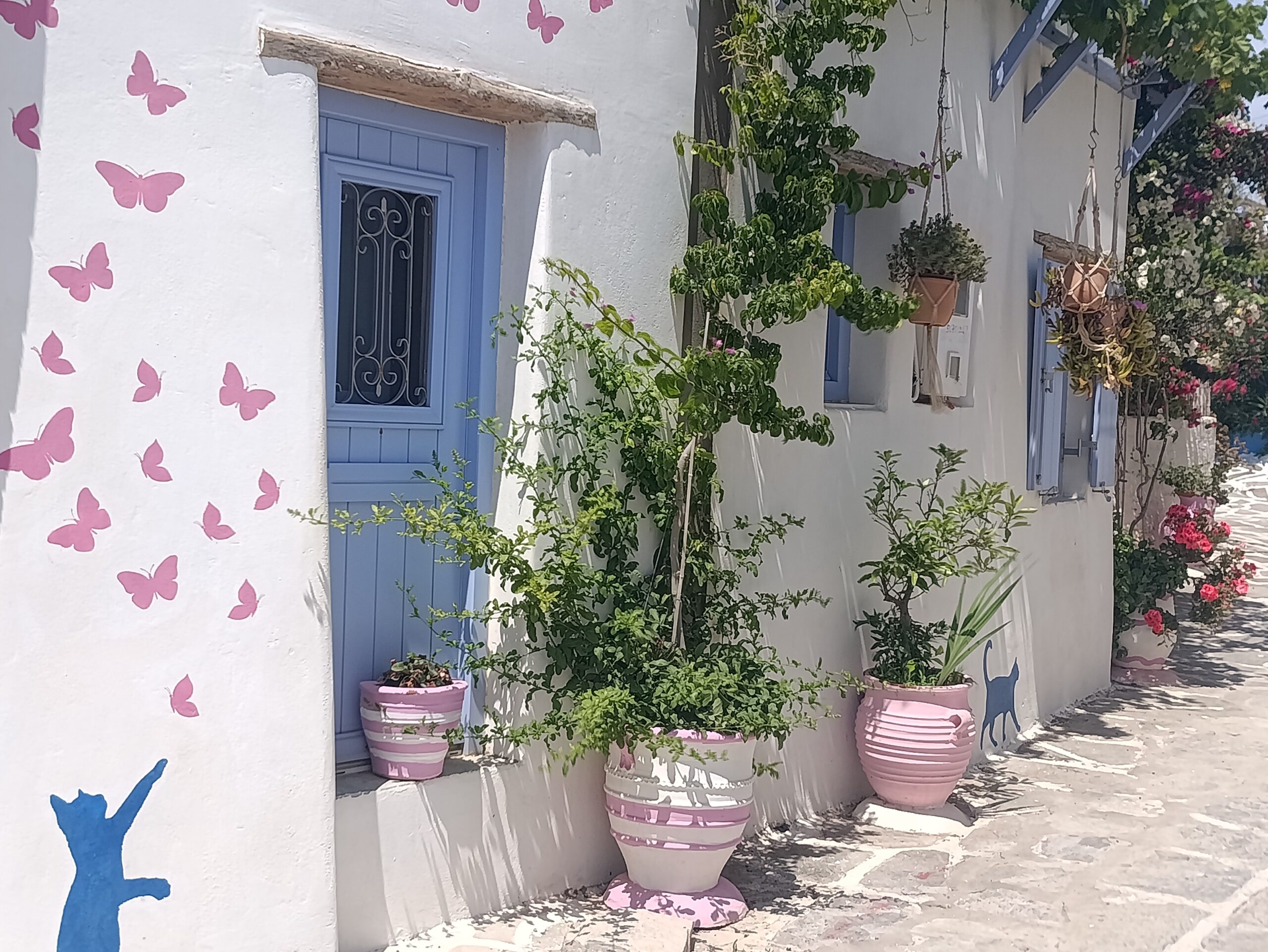 alojamiento en paros pueblos