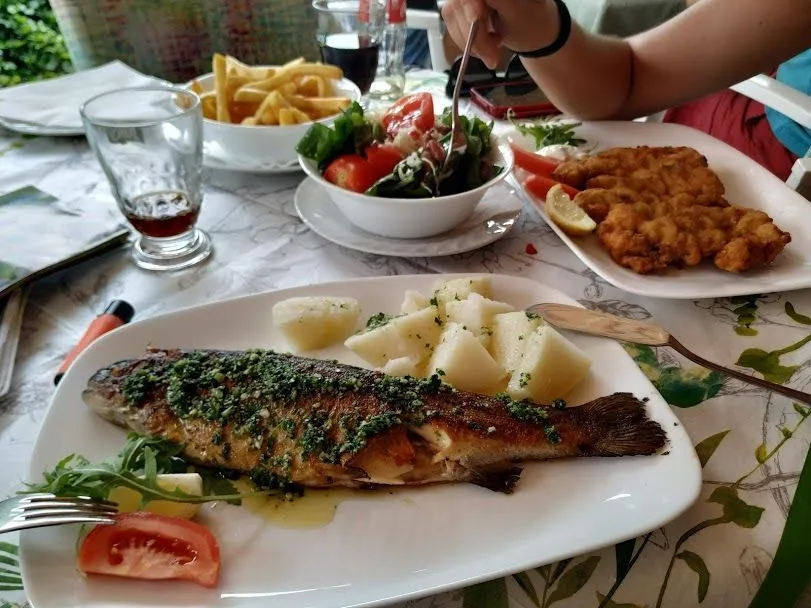 Qué ver en Eslovenia en 7 días trucha