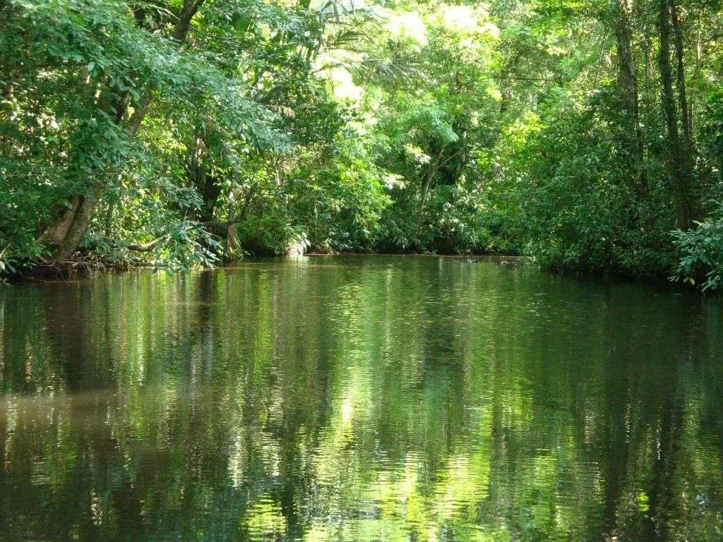 Canales en P.N. Tortuguero