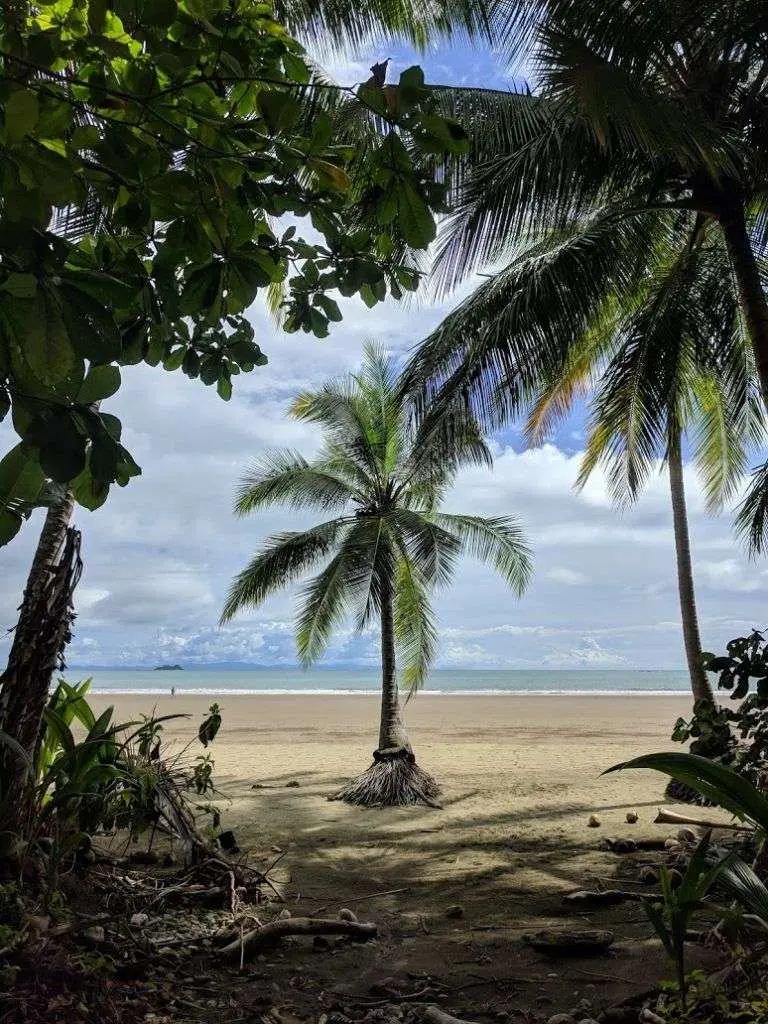 playas del caribe en costa rica
