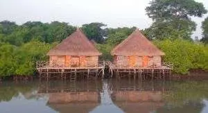 internet en gambia
