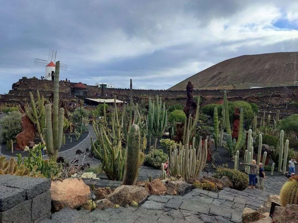 que ver en lanzarote en 6 dias jardin de cactus